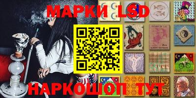 стаф Обь