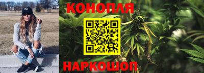 стаф Обь
