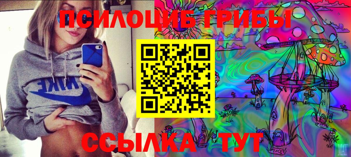 Симферополь  даркнет сайт  Вход с VPN  Галлюциногенные грибы Psilocybine cubensis 