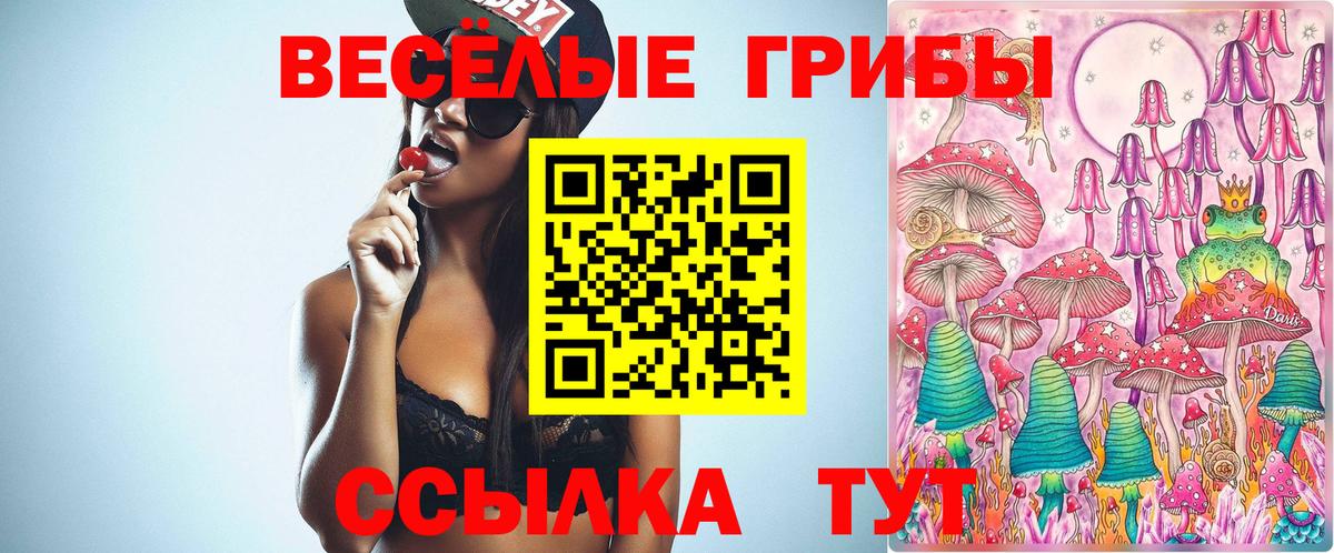 Галлюциногенные грибы MAGIC MUSHROOMS Симферополь